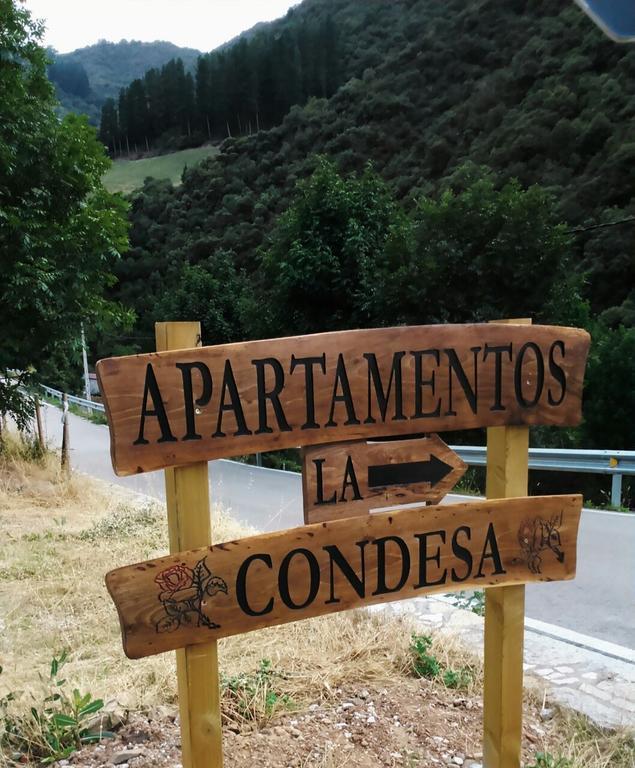 Apartment La Condesa