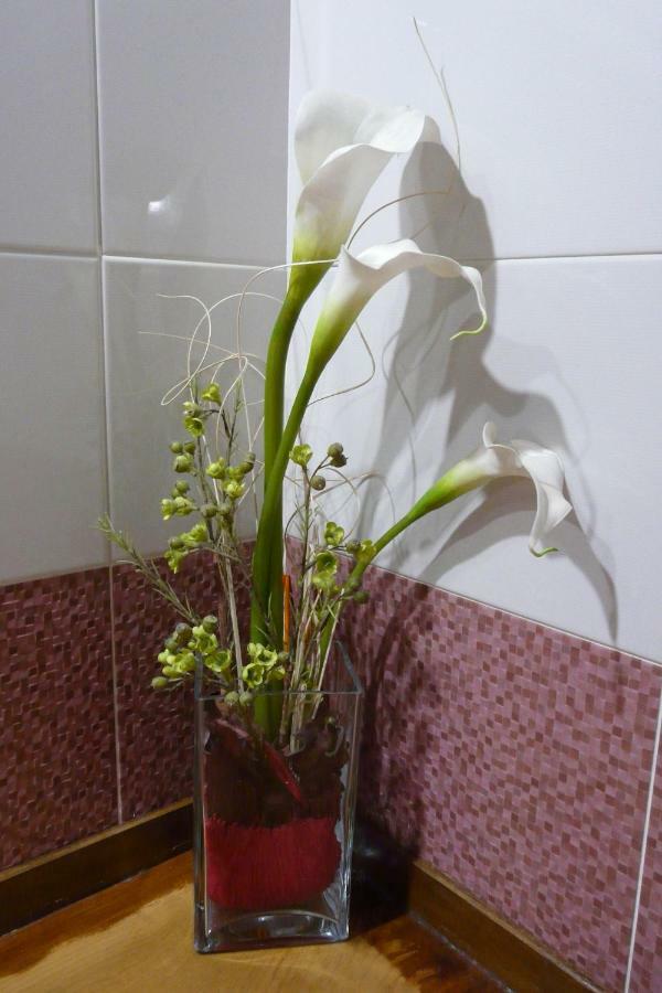 La Condesa Appartement